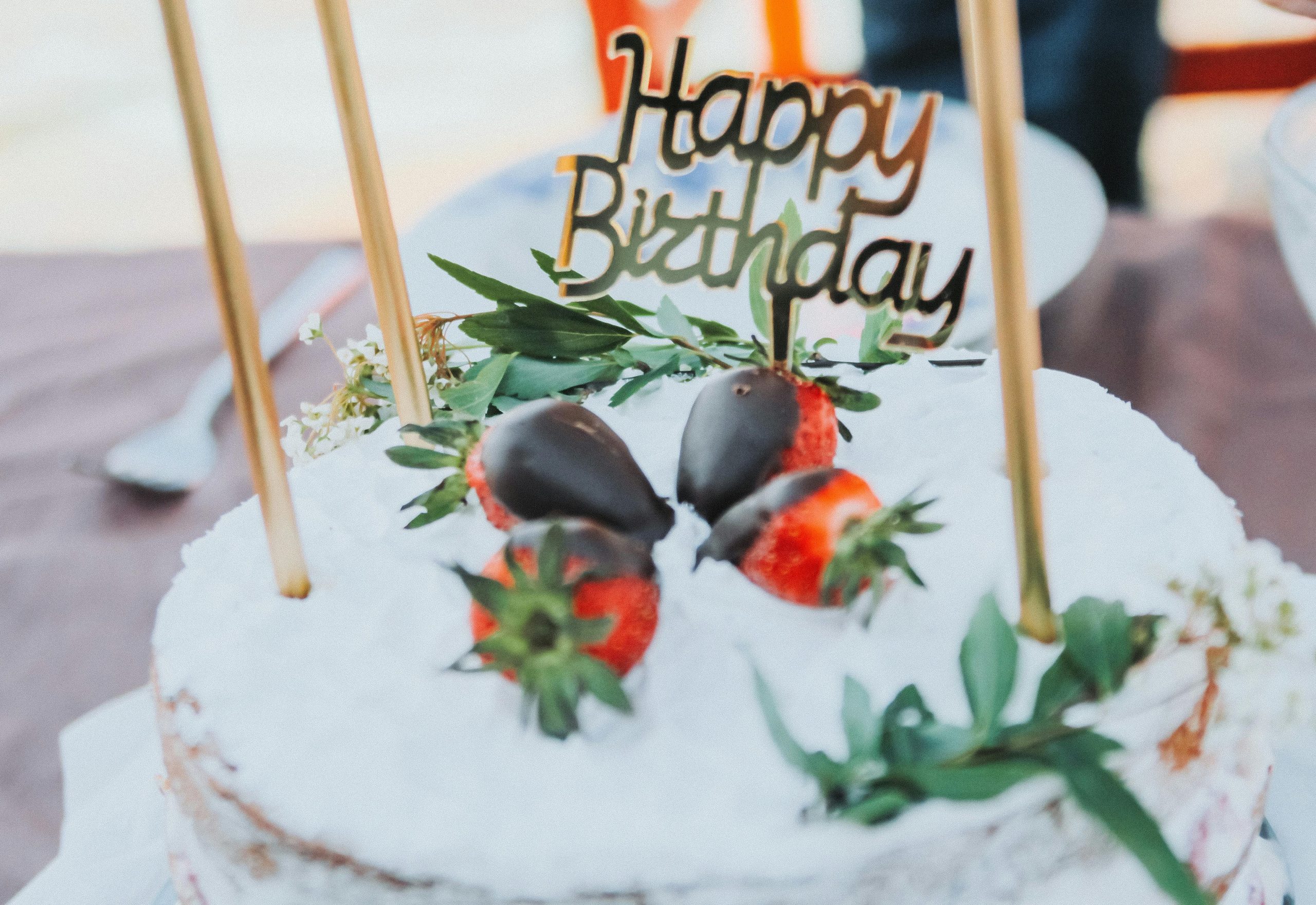 cat birthday happy wishes celebration