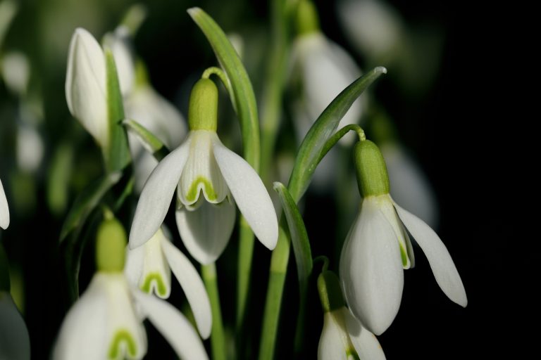 115 Citazioni Pasqua speranza e rinascita