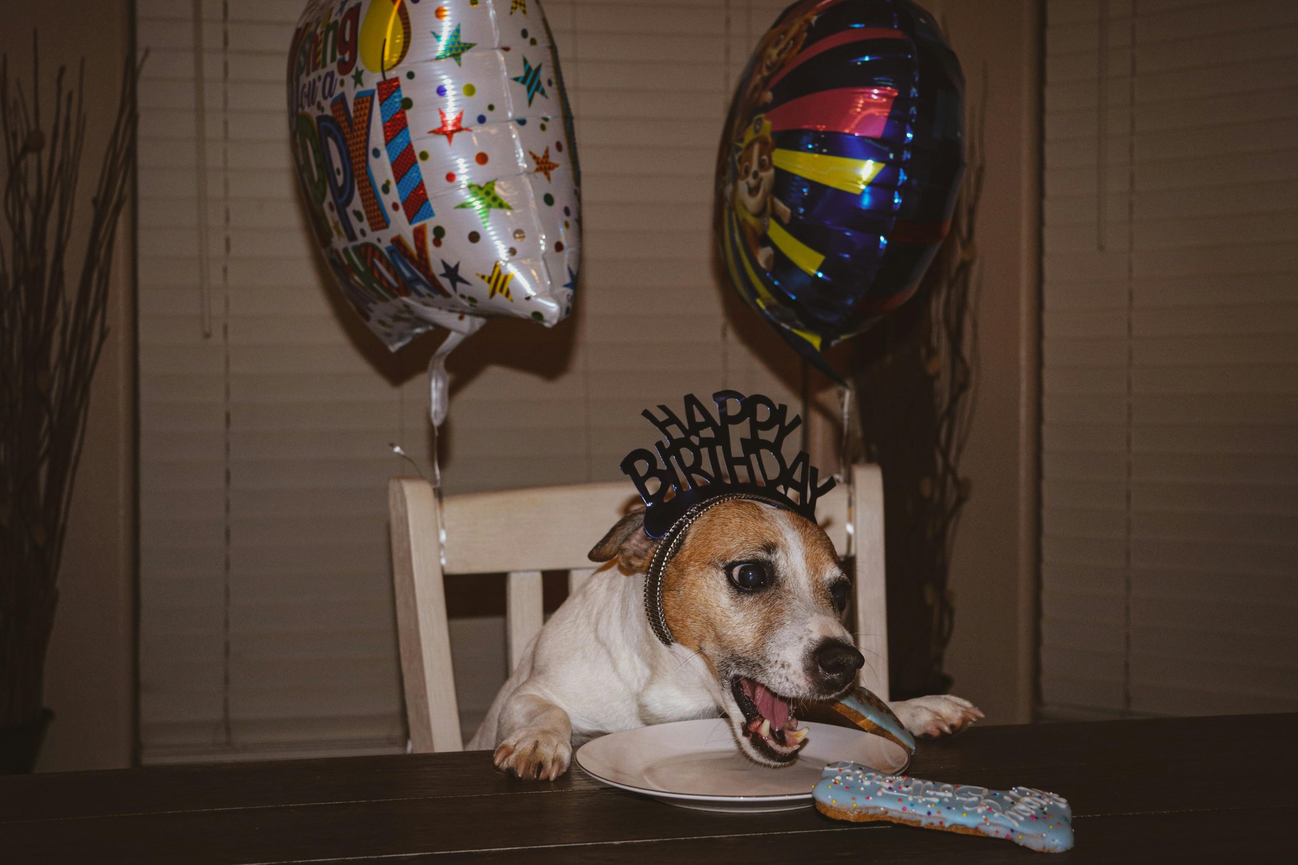 funny birthday friend celebration wishes