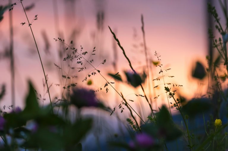 good evening goodnight evening greetings italy