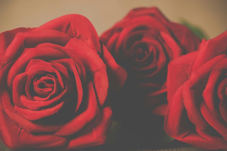 goodnight poetry crush romantic love letter