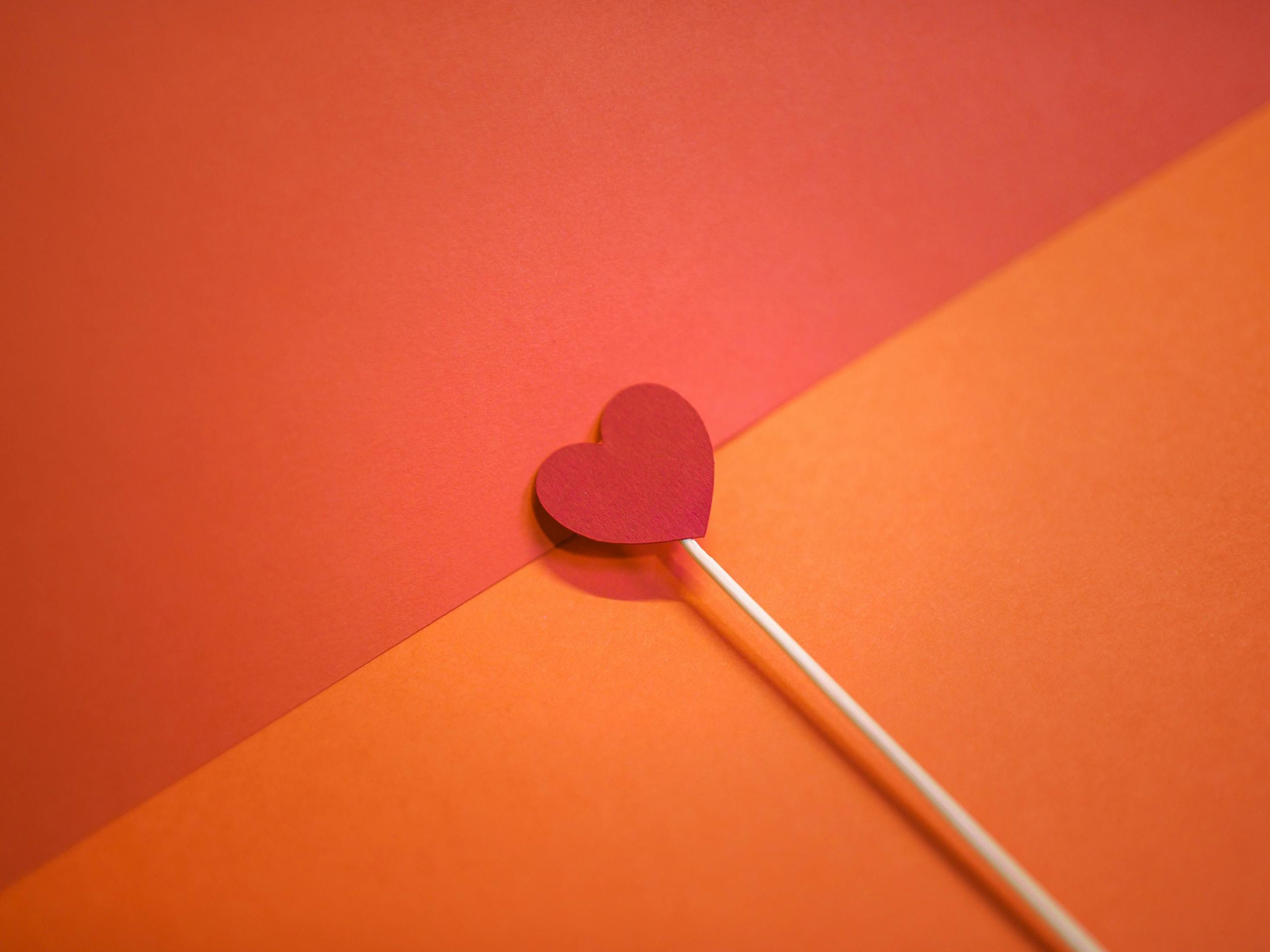 heart love passion inspirational quotes