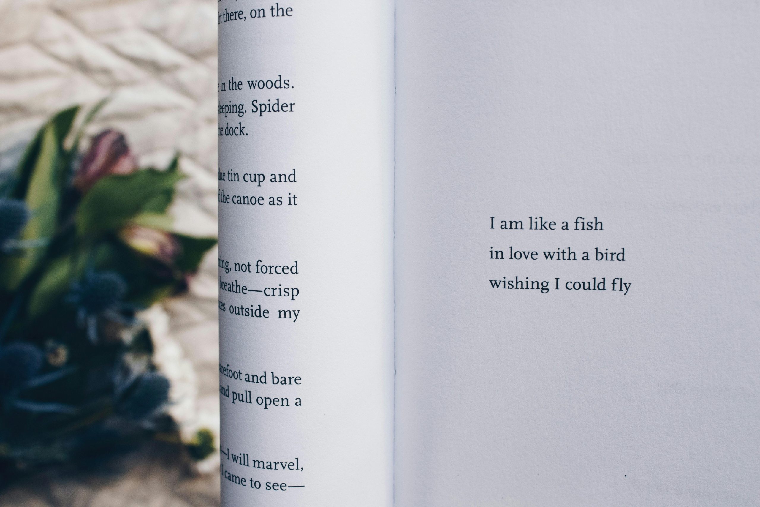 italian literature goodnight quotes book