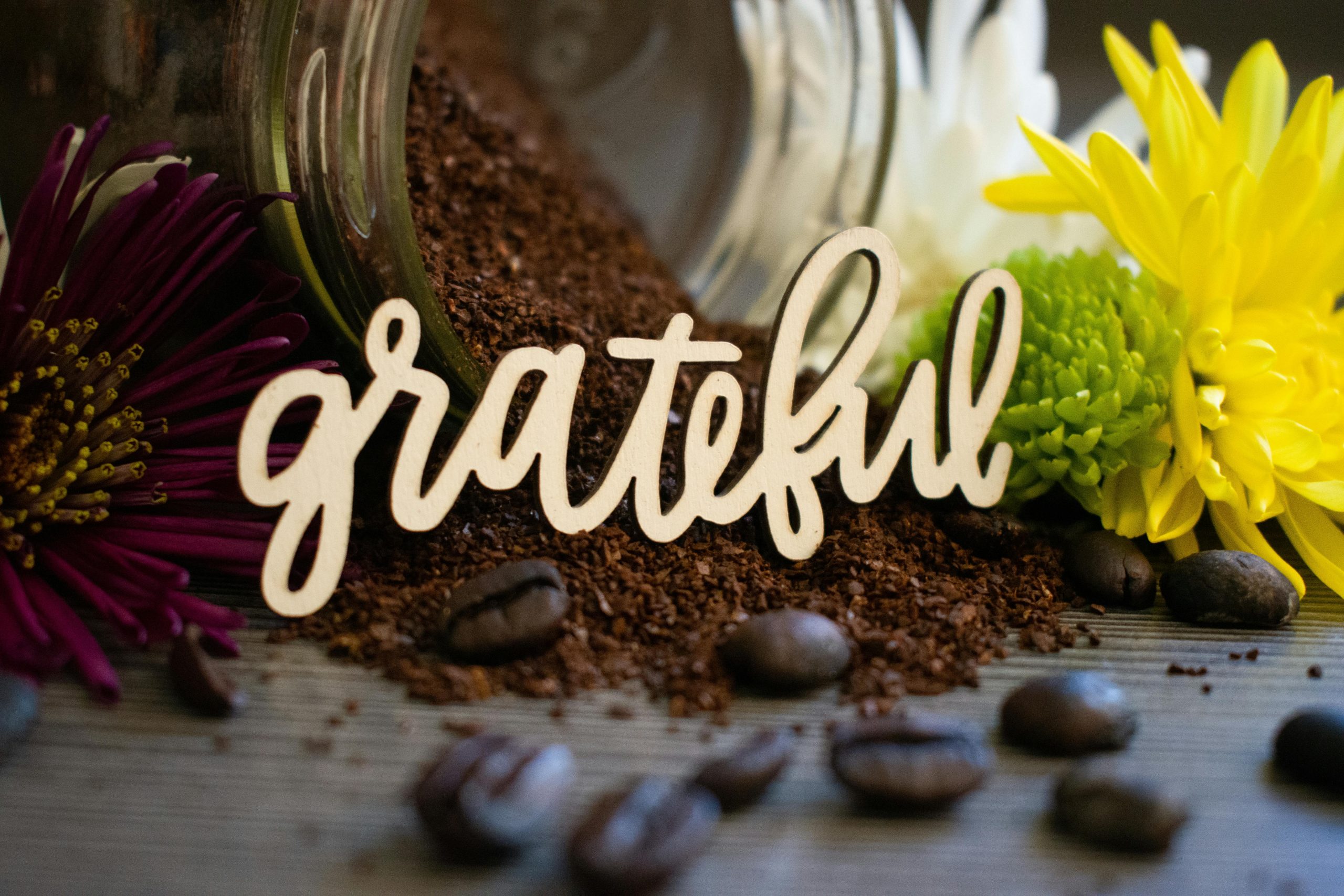 morning appreciation everyday moments gratitude mindfulness
