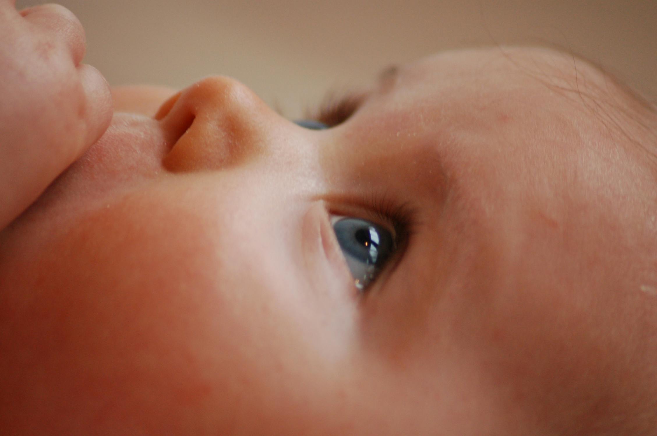 newborn twins baby congratulations family